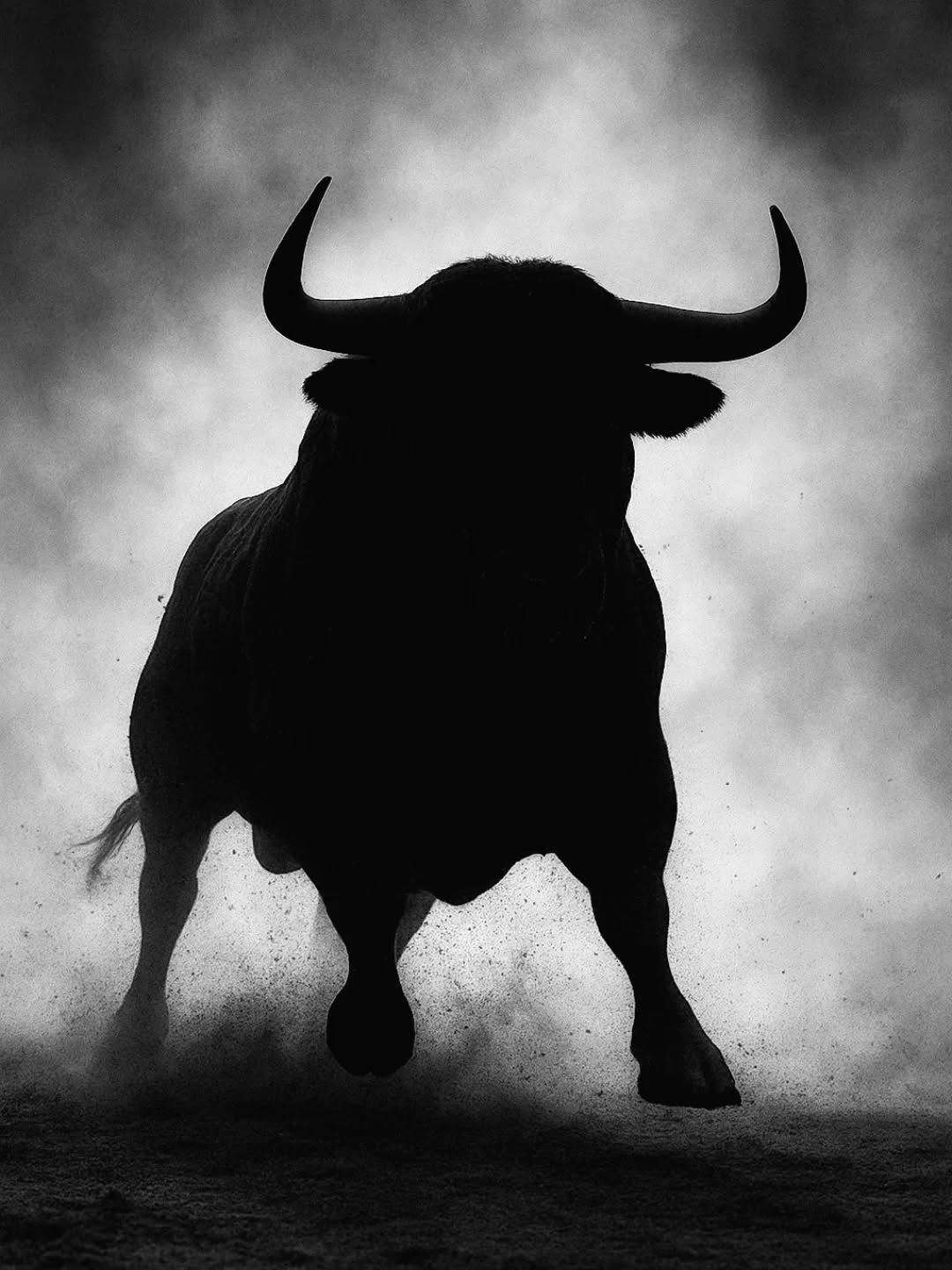 The Black Bull charging forward through dust